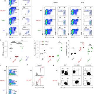 The Kb Irf Enhancer Controls Irf Expression In Monocytes And