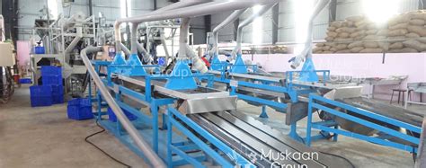 Cashew Machine Cashew Processing Machine Cashew Nut Machine