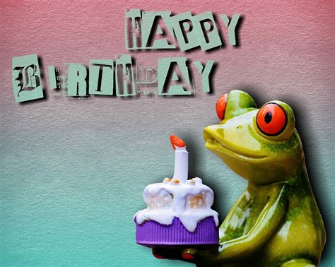bon anniversaire date de naissance image gratuite sur pixabay pixabay