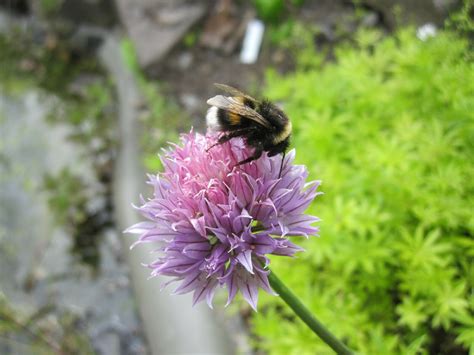 Pädagogische Hochschule Karlsruhe Natur entdecken Tag der offenen Tür