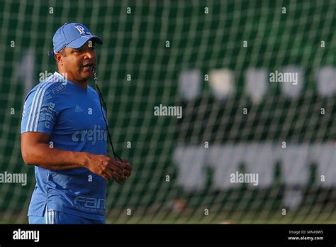 S O Paulo Sp Treino Do Palmeiras Roger Machado During