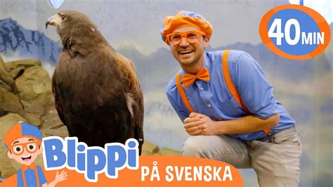 Blippi Svenska Blippi matar och leker med djur på zoo pedagogiska