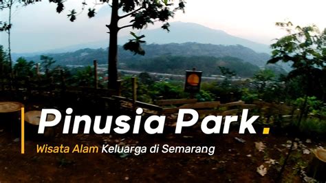 Explore Pinusia Park Wisata Alam Keluarga Hidden Gems Di Semarang