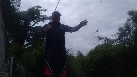 Kelanjutan Mancing Ikan Betok Lagi Kawan Youtube