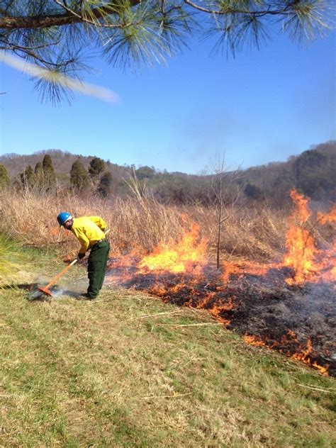 Effective Firebreaks For Safe Use Of Prescribed Fire Purdue Extension