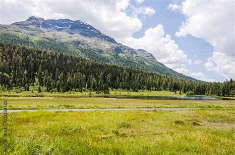 St Moritz Stazersee Bergsee Stazerwald Rosatschgruppe Alpen