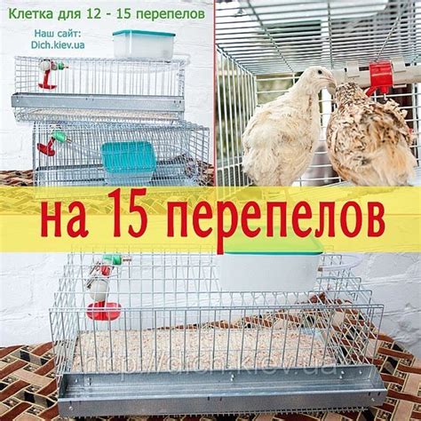 Клетка для перепелов, одноярусная (для 12 - 15 перепелов), компания ...