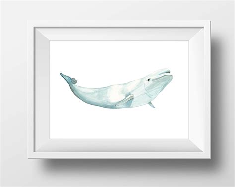 Beluga Whale Watercolor Art Print Beluga Whale Poster | Etsy