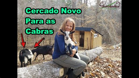 Soltando As Cabras No Cercado Novo Primeira Vez Goats In The New