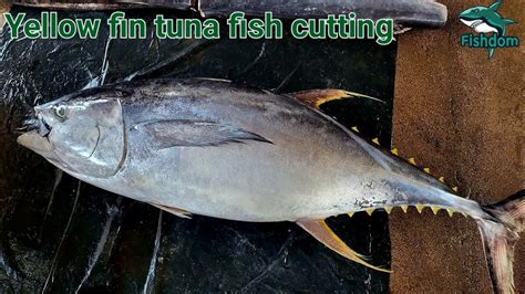 Amazing Yellow Fin Tuna Fish Cutting And Chopping Skills In Sri