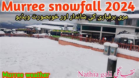 Murree Live Snowfall Murree Live Today Murree Snowfall Murree