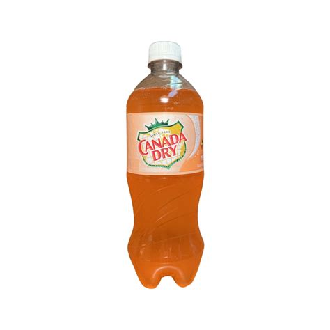 Canada Dry Peach Ginger Ale 20 Fl Oz 24 Pack 123 Beverages