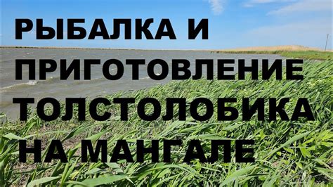 РЫБАЛКА И ПРИГОТОВЛЕНИЕ ТОЛСТОЛОБИКА НА МАНГАЛЕ ПОД ТАЗАМИ. РЕЦЕПТЫ СЮФ ...