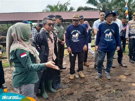 Targetkan Ribu Sapi Per Tahun Dtphp Kutim Bakal Mengembangkan