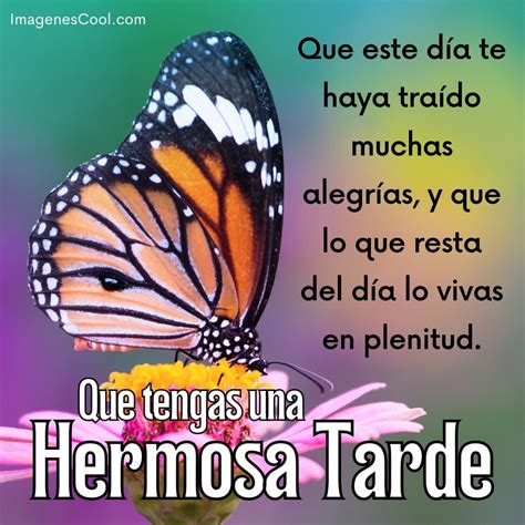 Introducir Imagen Frases De Buenas Tardes Positivas Abzlocal Mx