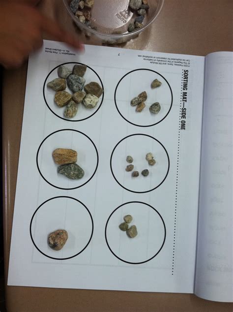 Class 2m9 Sorting Rocks