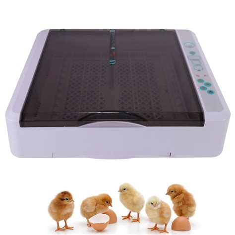 CJC Egg Incubator 36 Eggs Fully Automatic Poultry Hatcher Machine With