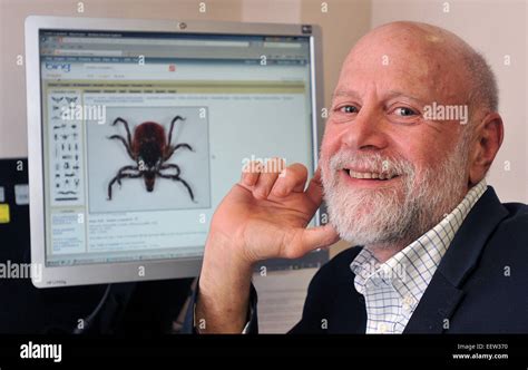 Tiques De La Maladie De Lyme Banque De Photographies Et Dimages à