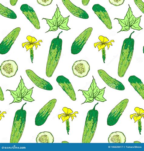 Seamless Pattern Of Bright Cucumber Whole And Chunks Stock Vector