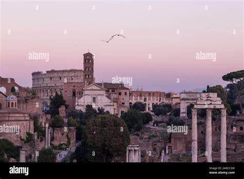 Palatine museum on palatine hill hi-res stock photography and images ...