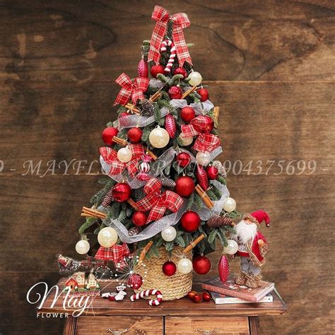 Danh mục Sản Phẩm Noel Trang 5 trên 5 Cửa hàng hoa tươi May Flower