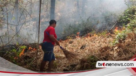 Lereng Gunung Budeg Tulungagung Terbakar