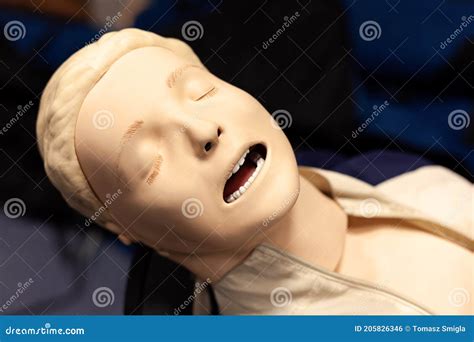 Cpr First Aid Resuscitation Adult Man Life Size Training Dummy Model Doll Face Closeup Detail