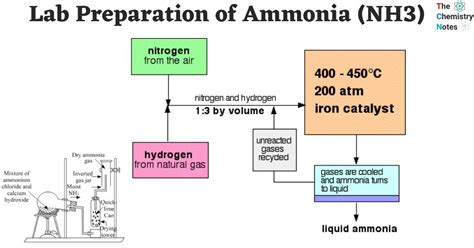 Lab Preparation Of Ammonia Nh3