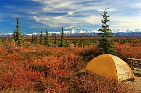 Camping And Backpacking Guide To Denali National Park