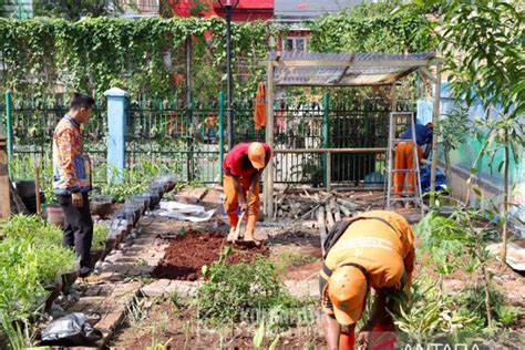 Pemkot Jakpus Manfaatkan Lahan Kosong Untuk Ketahanan Pangan Antara News