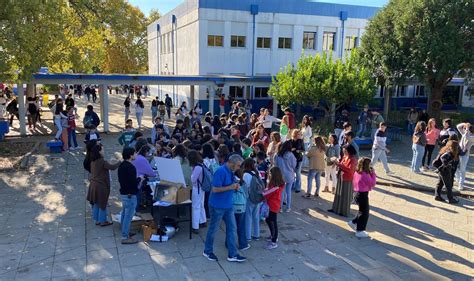 Alunos da escolas de Montemor o Novo comeram castanhas em Dia de São