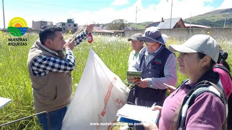 Productores De Tungurahua Se Capacitan En Ganader A De Leche