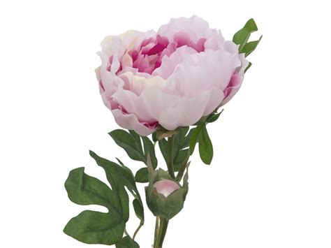 Pivoine Artificielle Déco H80cm Floranet