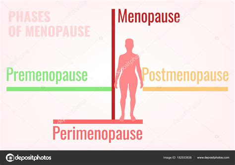 Est Gios Do Infogr Fico Da Menopausa Imagem Vetorial De Annyart