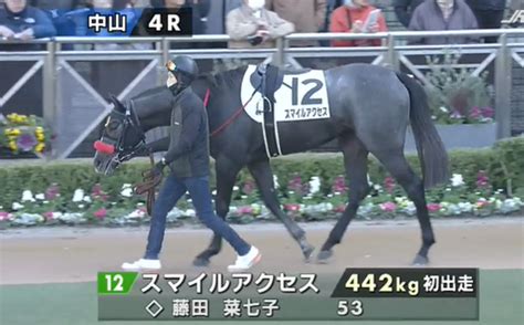 【パドックこの馬】パドックのみから馬を見てみる研究【123（日）中山編】－19万、回収率84 Sodsashi 競馬withfx