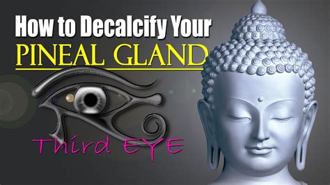 How To Decalcify Your Pineal Gland Our Third Eye Youtube