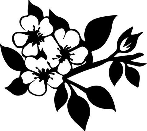 Premium Vector Apple Blossom Black Silhouette With Transparent Background