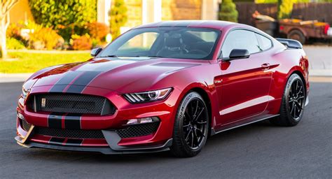 This 2019 Ford Mustang Shelby GT350 Could Be Your Perfect Canyon Carver