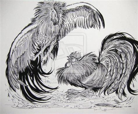 Rooster Fighting Art Black And White