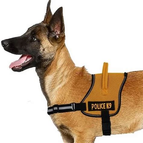 Police K9 Polyester Dog Harness At Rs 200piece Jalandhar Id