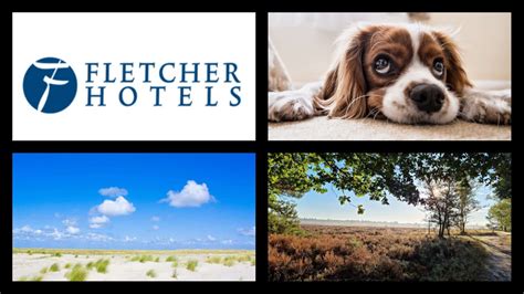 Fletcher Hotels Met Hond De Beste Tips Vind Je Hier