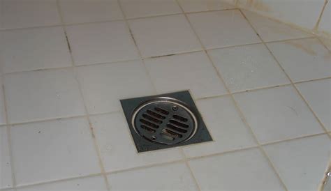 Water In Basement Floor Drain Flooring Guide By Cinvex