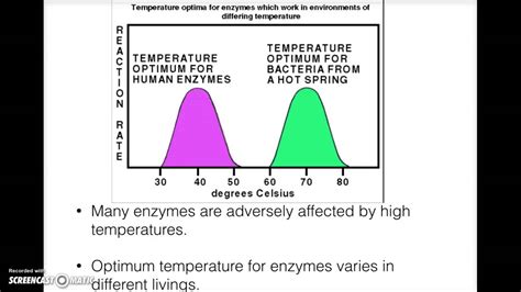 How Does Temp And Ph Affect Enzymes