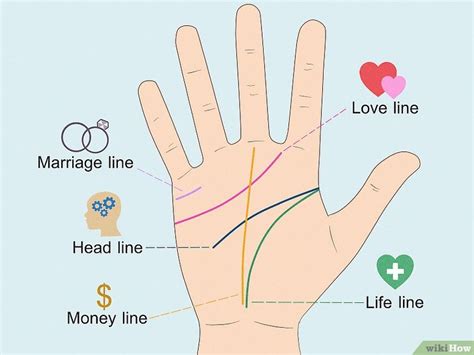 Como Interpretar a Linha do Coração Leitura de Mãos