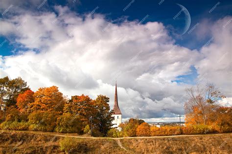Premium Photo | Autumn landscape of the estonian forest