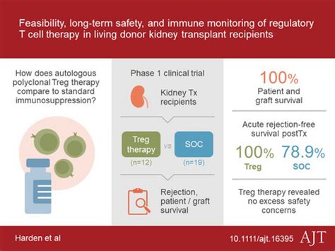 Feasibility Longterm Safety And Immune Monitoring Of Regulatory T