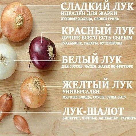ВТОРАЯ УЛИЦА