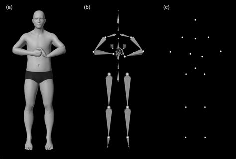 Detailed View Of The D Humanoid Model Used To Create The Final Embody