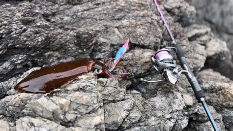 Squid Fishing Day Time Egi Style YouTube