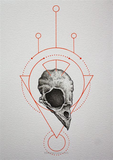 Raven Skull Drawing at GetDrawings | Free download